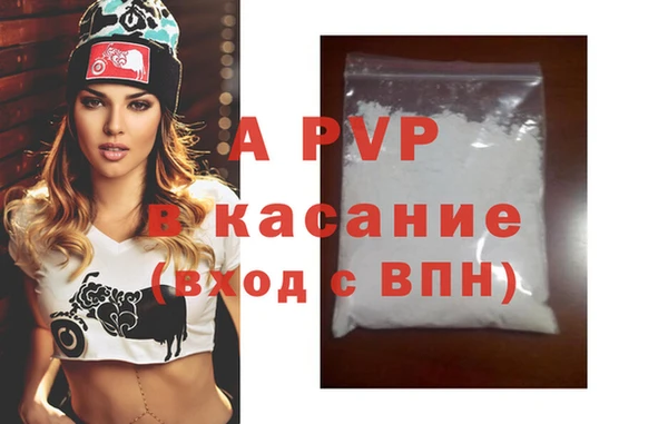 винт Абаза