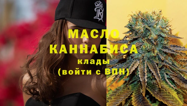 винт Абаза