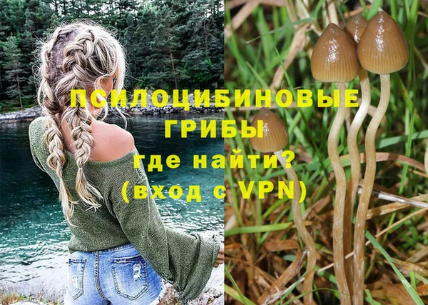 бутират Абинск