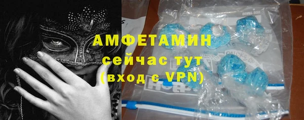винт Абаза