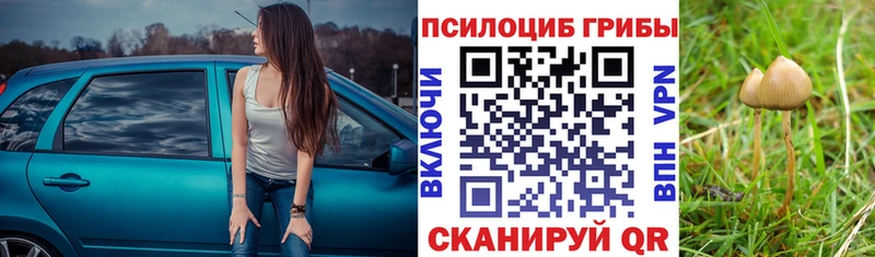 Псилоцибиновые грибы ЛСД  цена   Ковдор 