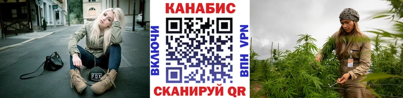 Канабис гибрид  Ковдор 